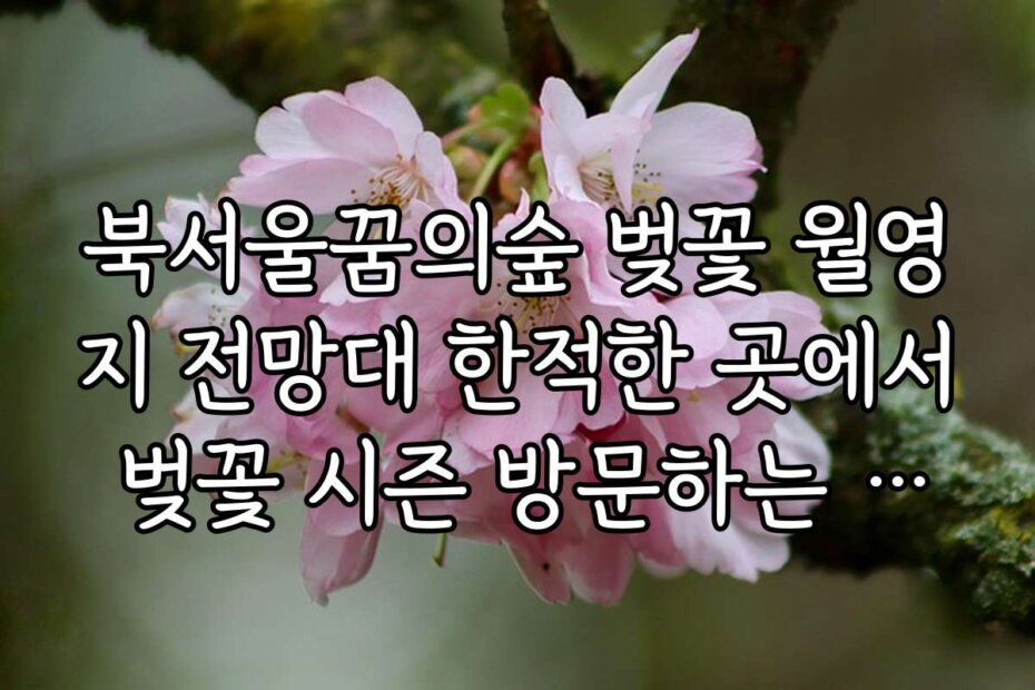 북서울꿈의숲 벚꽃 월영지 전망대 한적한 곳에서 벚꽃 시즌 방문하는 최적 시기와 일정