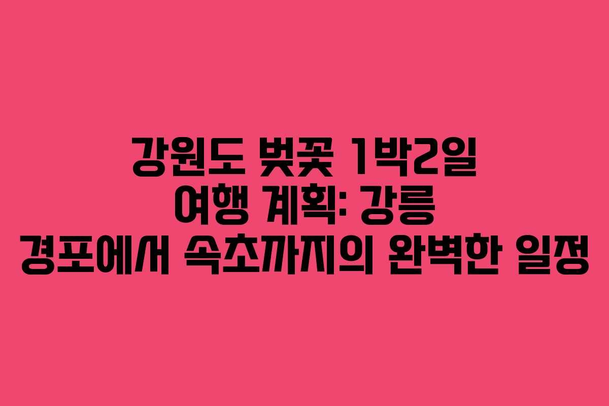 강원도 벚꽃 1박2일 여행 계획: 강릉 경포에서 속초까지의 완벽한 일정