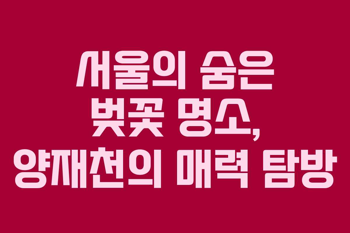 서울의 숨은 벚꽃 명소, 양재천의 매력 탐방