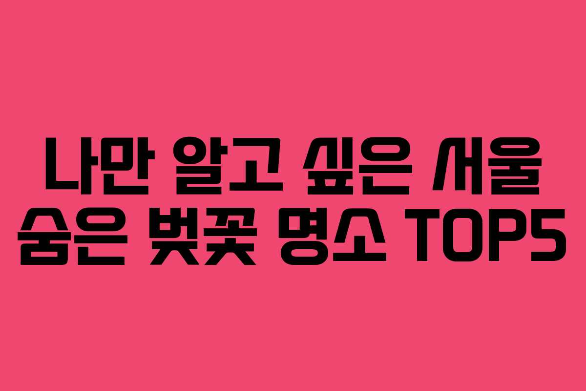 나만 알고 싶은 서울 숨은 벚꽃 명소 TOP5