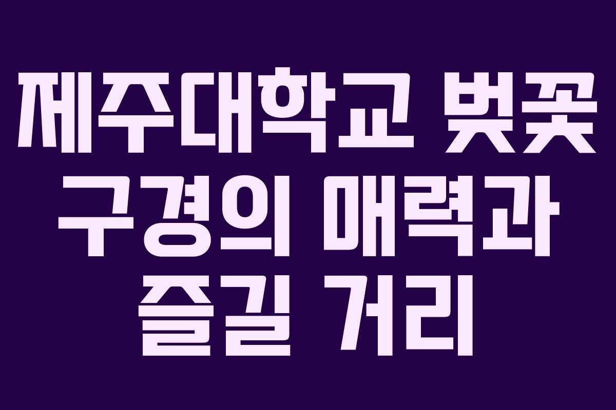 제주대학교 벚꽃 구경의 매력과 즐길 거리