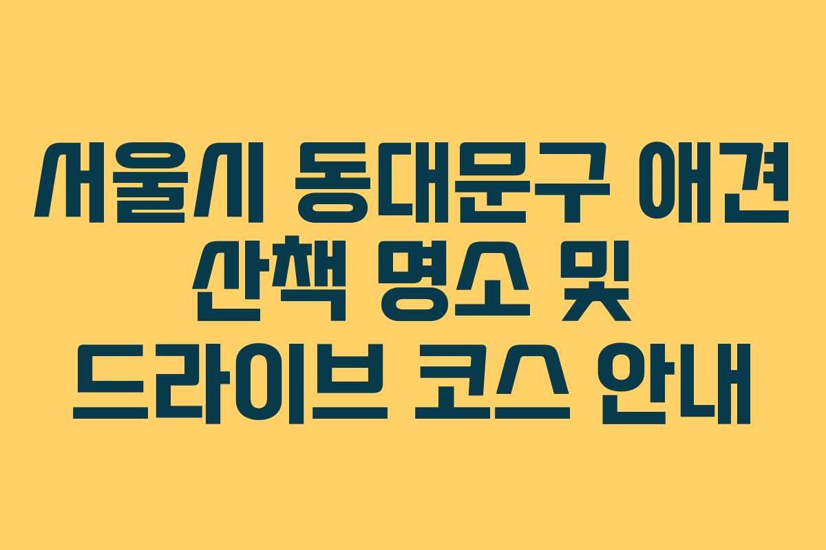 서울시 동대문구 애견 산책 명소 및 드라이브 코스 안내