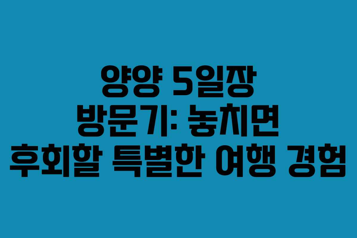 양양 5일장 방문기: 놓치면 후회할 특별한 여행 경험