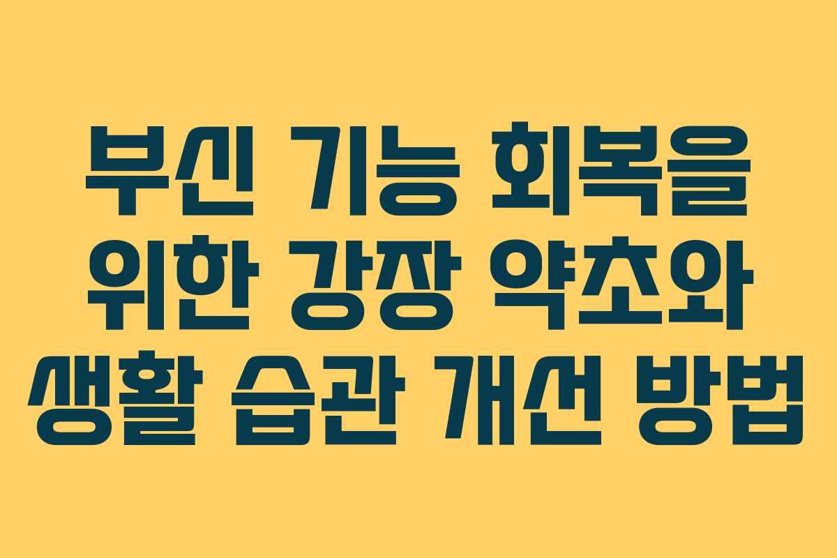부신 기능 회복을 위한 강장 약초와 생활 습관 개선 방법