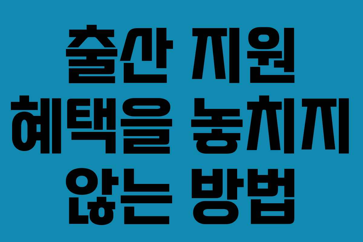 출산 지원 혜택을 놓치지 않는 방법