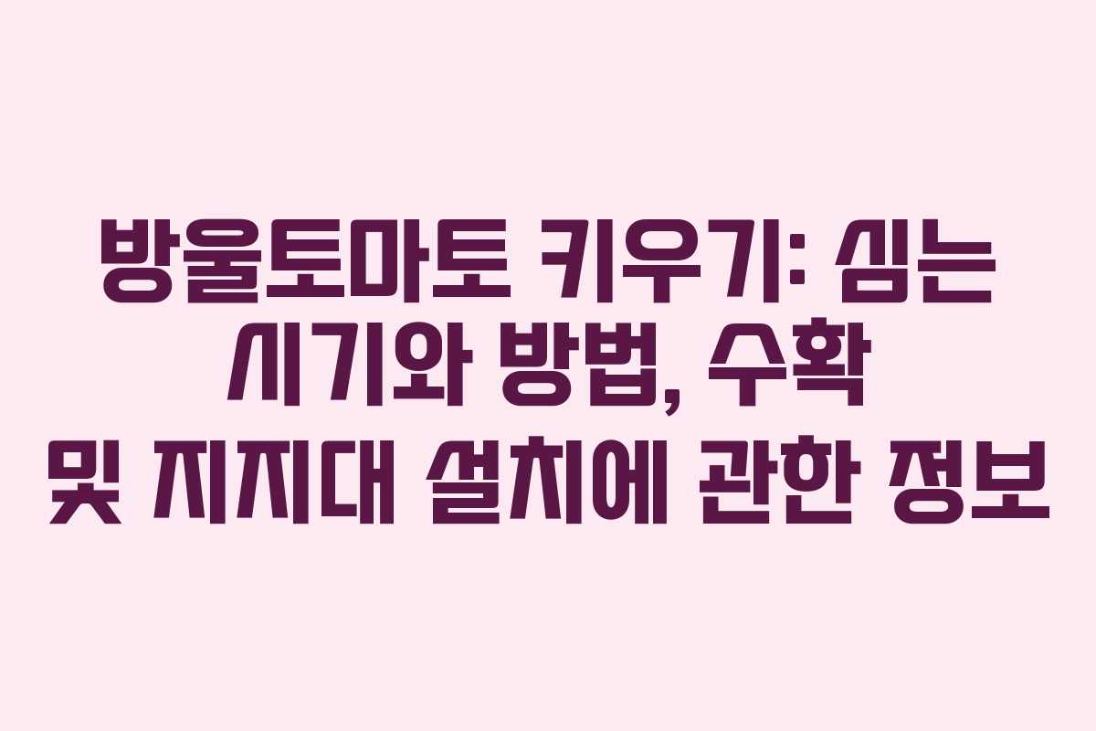 방울토마토 키우기: 심는 시기와 방법, 수확 및 지지대 설치에 관한 정보