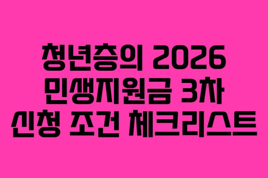 청년층의 2026 민생지원금 3차 신청 조건 체크리스트