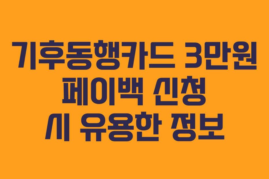 기후동행카드 3만원 페이백 신청 시 유용한 정보