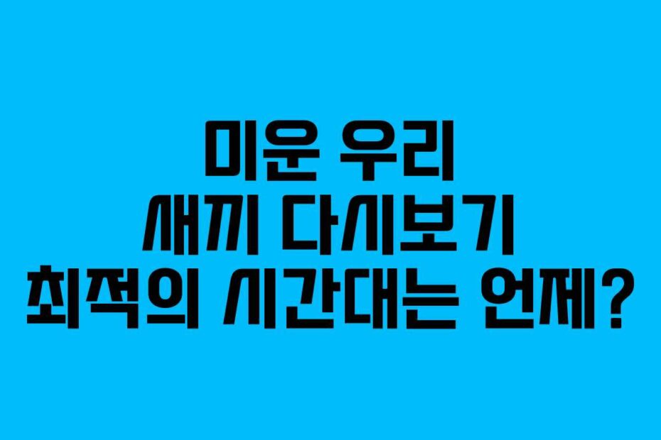 미운 우리 새끼 다시보기 최적의 시간대는 언제?