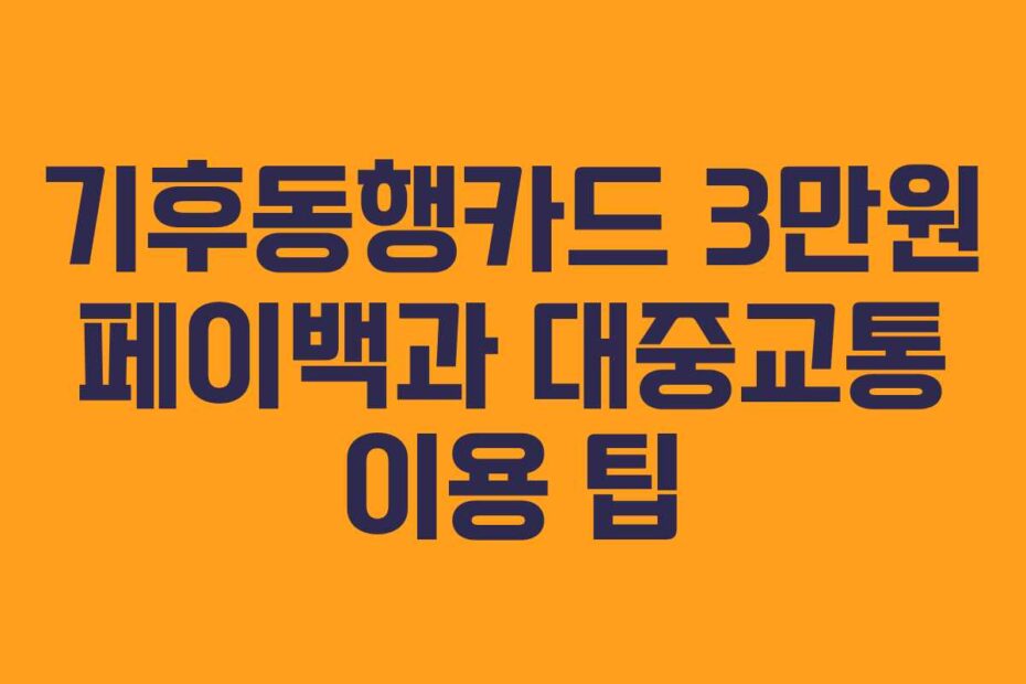 기후동행카드 3만원 페이백과 대중교통 이용 팁