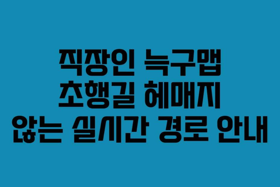 직장인 늑구맵 초행길 헤매지 않는 실시간 경로 안내