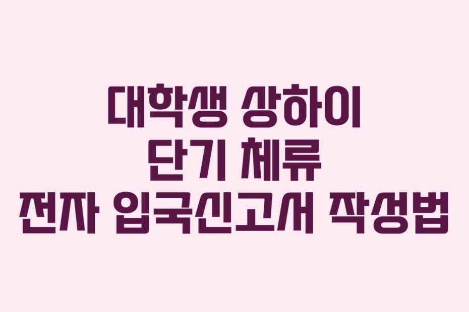 대학생 상하이 단기 체류 전자 입국신고서 작성법