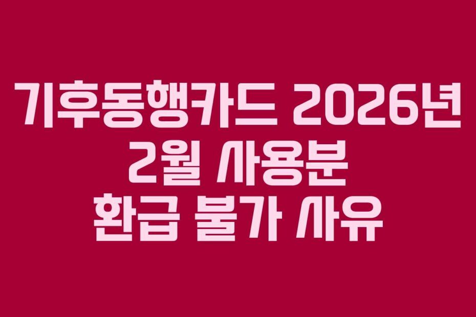 기후동행카드 2026년 2월 사용분 환급 불가 사유