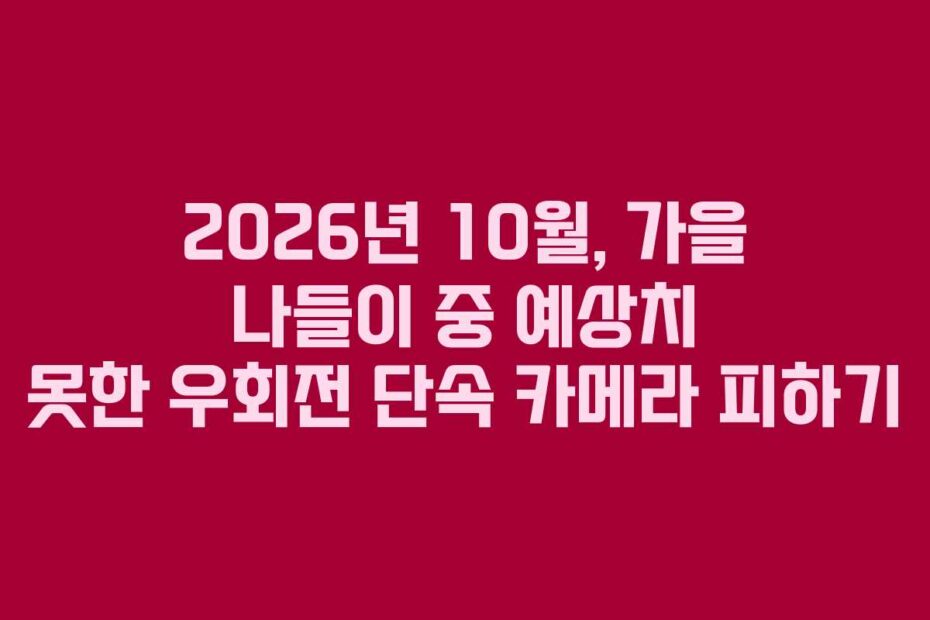 2026년 10월, 가을 나들이 중 예상치 못한 우회전 단속 카메라 피하기