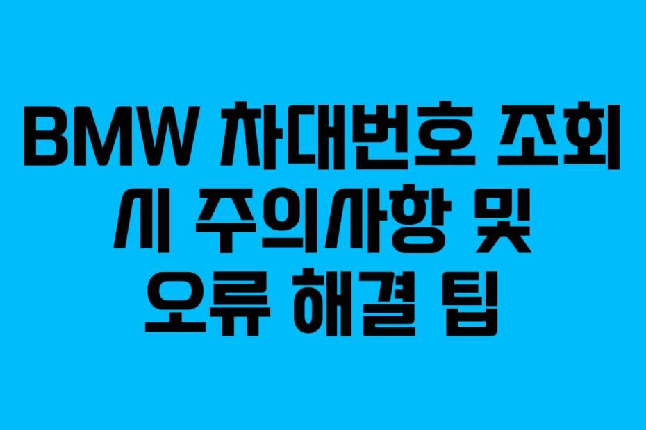 BMW 차대번호 조회 시 주의사항 및 오류 해결 팁