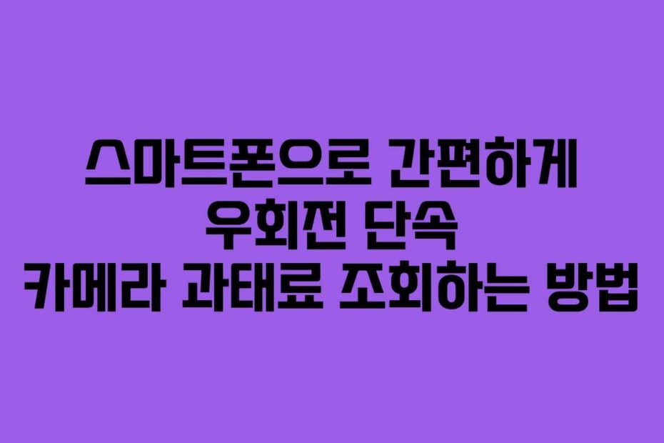 스마트폰으로 간편하게 우회전 단속 카메라 과태료 조회하는 방법
