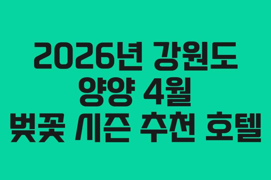 2026년 강원도 양양 4월 벚꽃 시즌 추천 호텔
