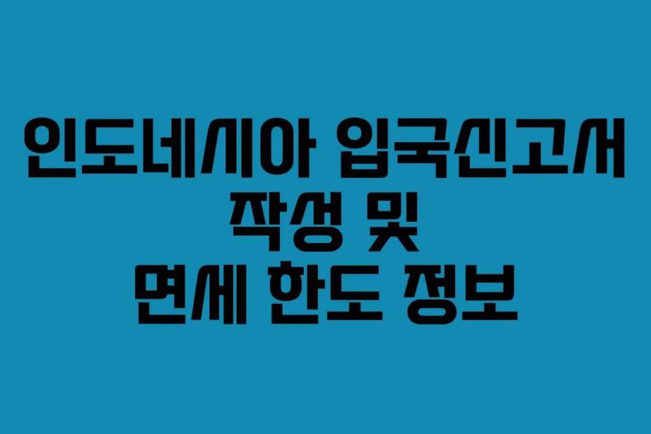 인도네시아 입국신고서 작성 및 면세 한도 정보
