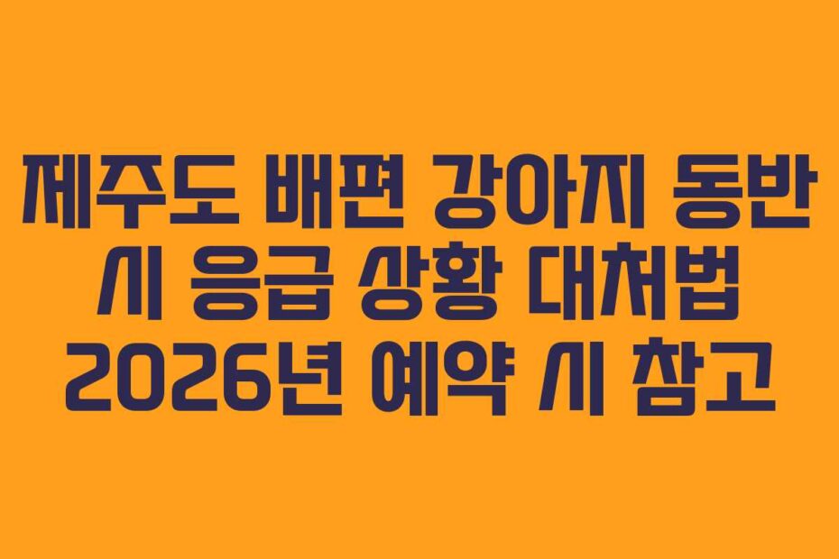 제주도 배편 강아지 동반 시 응급 상황 대처법 2026년 예약 시 참고