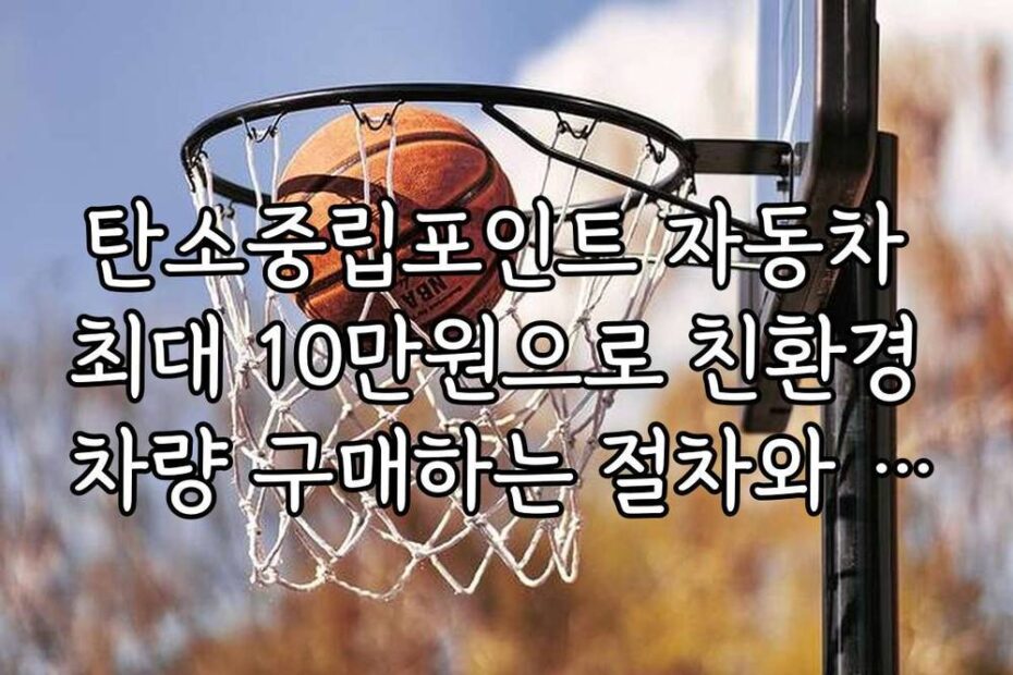 탄소중립포인트 자동차 최대 10만원으로 친환경 차량 구매하는 절차와 방법