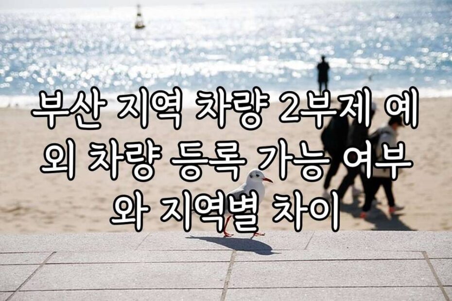부산 지역 차량 2부제 예외 차량 등록 가능 여부와 지역별 차이