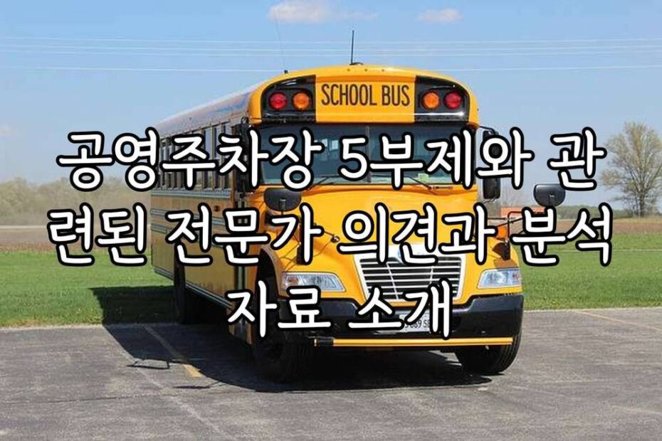 공영주차장 5부제와 관련된 전문가 의견과 분석 자료 소개