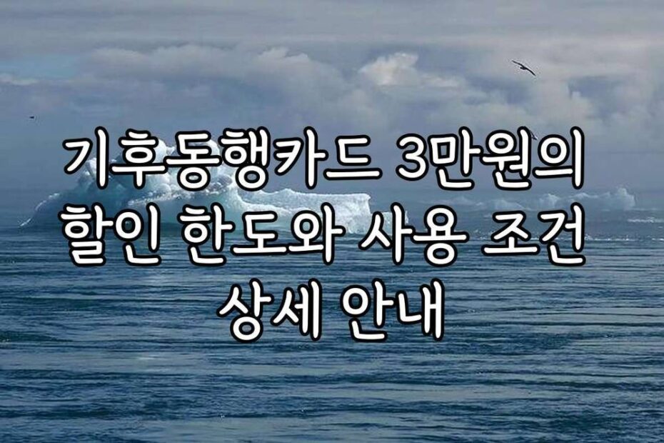 기후동행카드 3만원의 할인 한도와 사용 조건 상세 안내