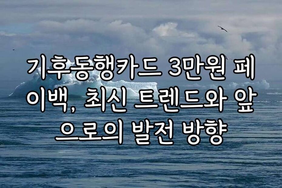 기후동행카드 3만원 페이백, 최신 트렌드와 앞으로의 발전 방향