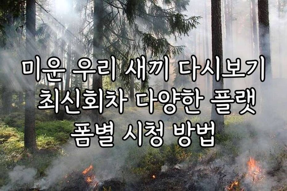 미운 우리 새끼 다시보기 최신회차 다양한 플랫폼별 시청 방법