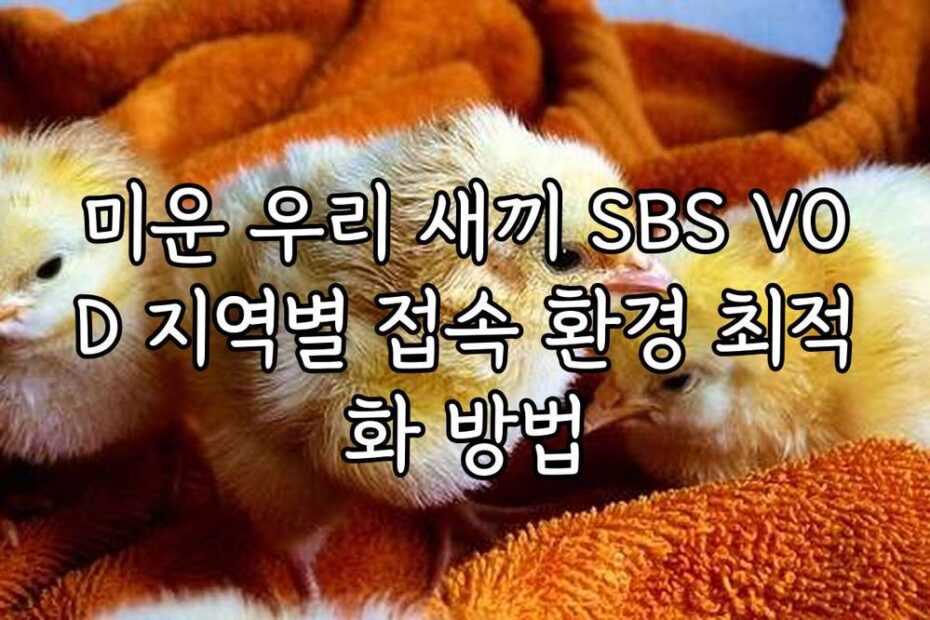 미운 우리 새끼 SBS VOD 지역별 접속 환경 최적화 방법