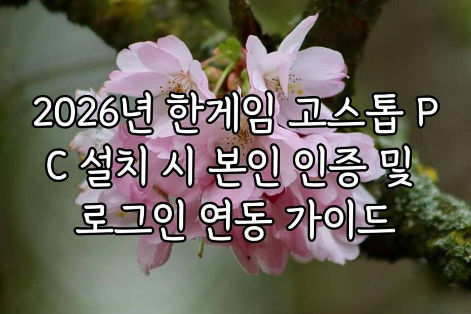 2026년 한게임 고스톱 PC 설치 시 본인 인증 및 로그인 연동 가이드