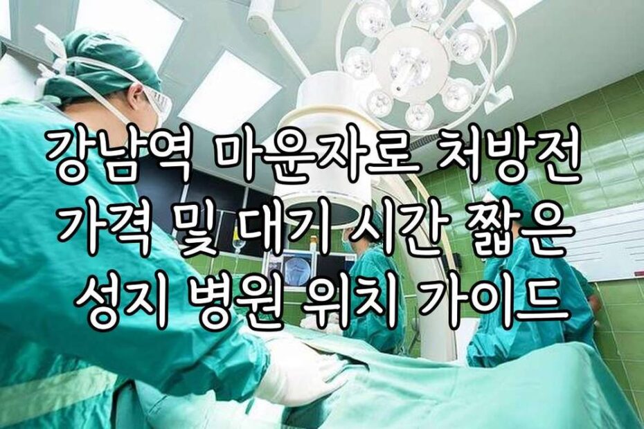 강남역 마운자로 처방전 가격 및 대기 시간 짧은 성지 병원 위치 가이드