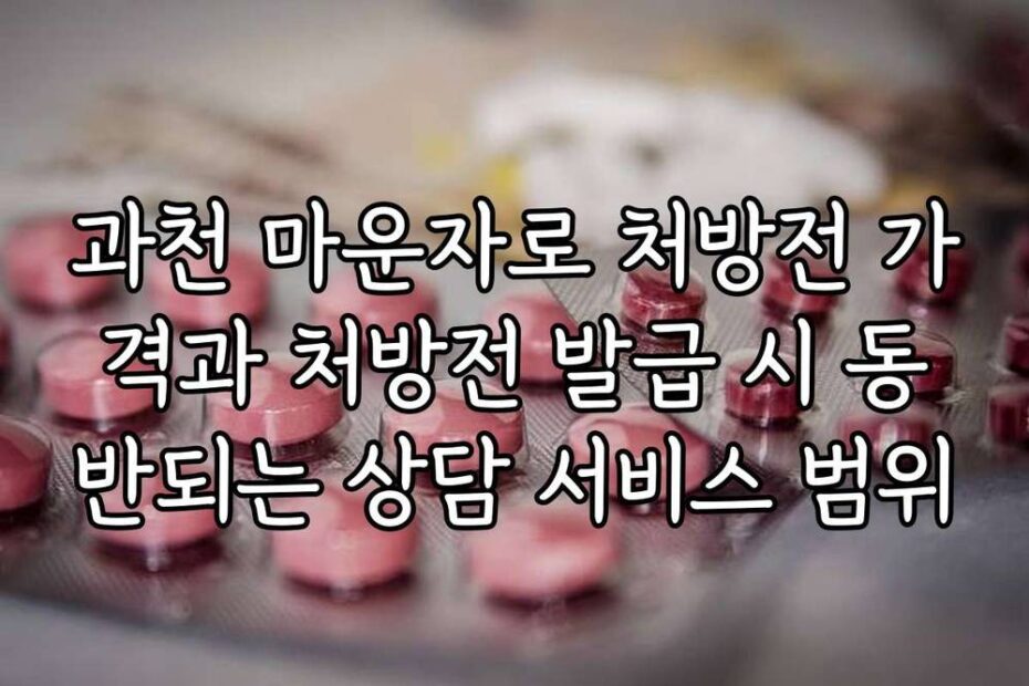 과천 마운자로 처방전 가격과 처방전 발급 시 동반되는 상담 서비스 범위