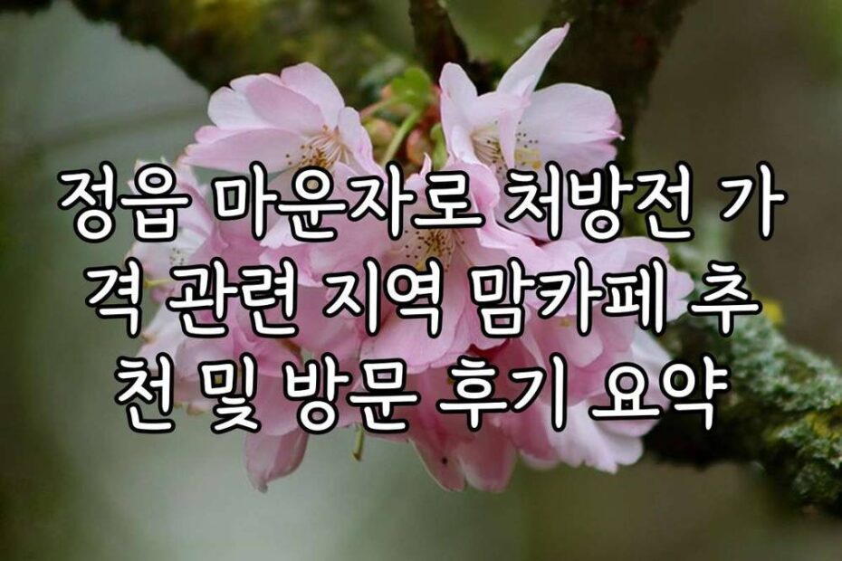 정읍 마운자로 처방전 가격 관련 지역 맘카페 추천 및 방문 후기 요약