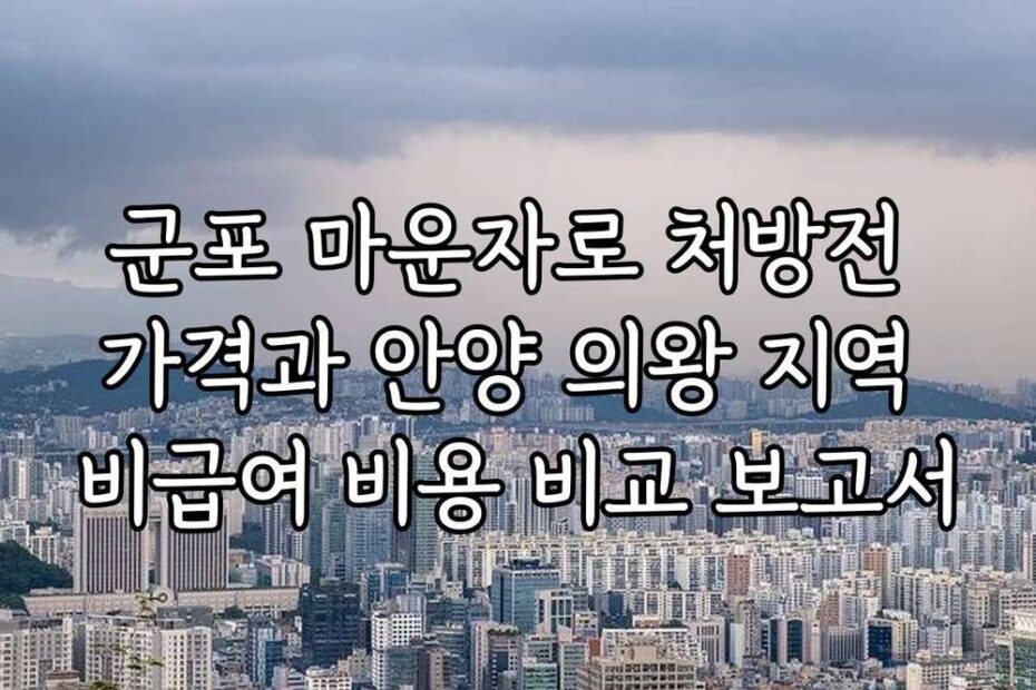 군포 마운자로 처방전 가격과 안양 의왕 지역 비급여 비용 비교 보고서