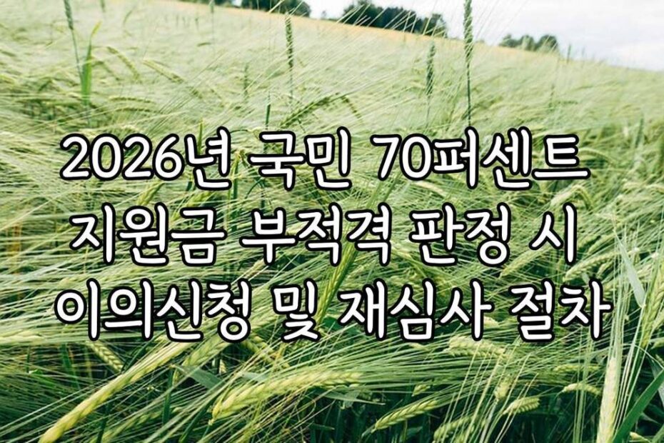2026년 국민 70퍼센트 지원금 부적격 판정 시 이의신청 및 재심사 절차