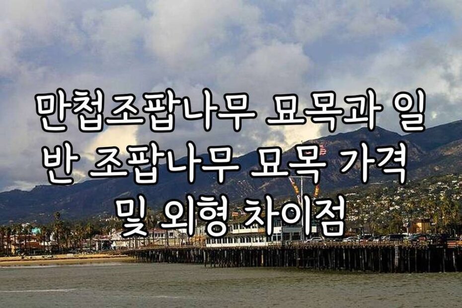만첩조팝나무 묘목과 일반 조팝나무 묘목 가격 및 외형 차이점