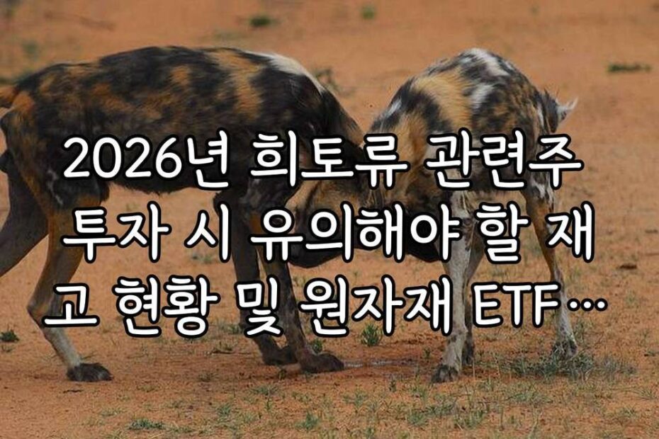 2026년 희토류 관련주 투자 시 유의해야 할 재고 현황 및 원자재 ETF 리포트