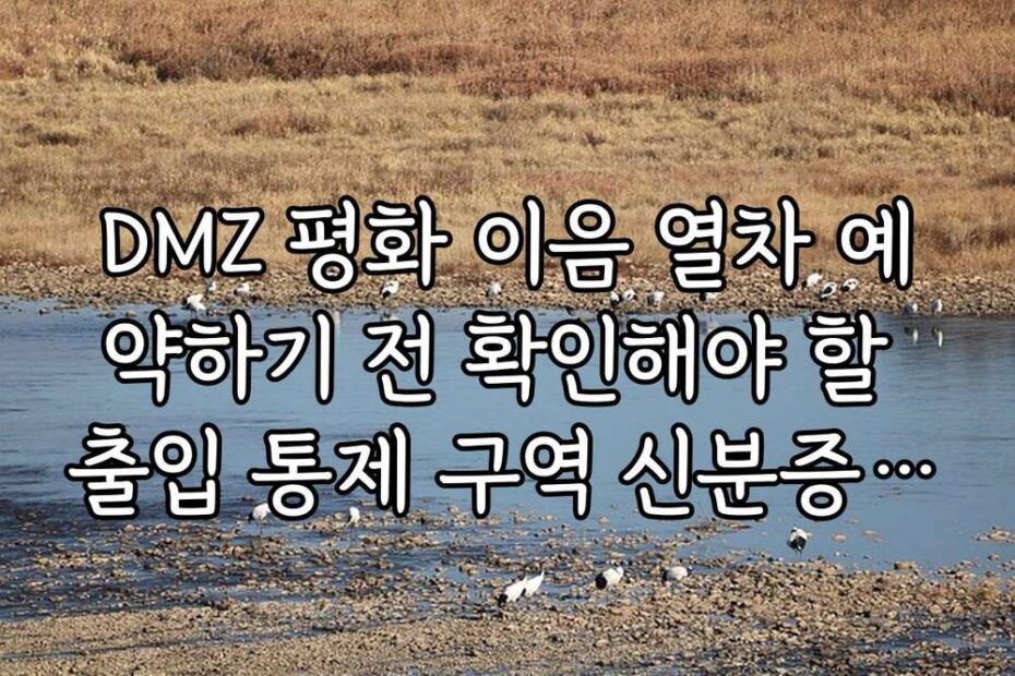DMZ 평화 이음 열차 예약하기 전 확인해야 할 출입 통제 구역 신분증 지참 규정