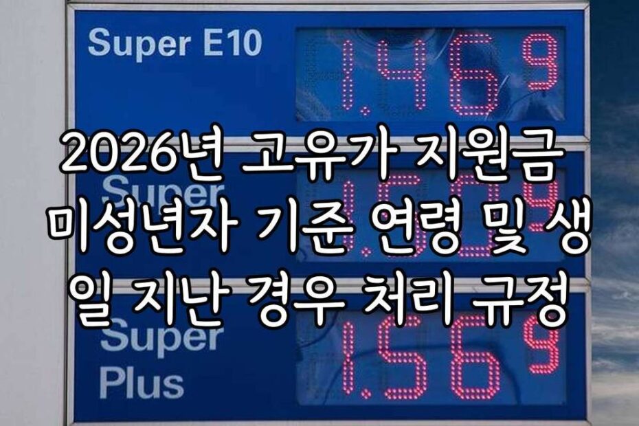 2026년 고유가 지원금 미성년자 기준 연령 및 생일 지난 경우 처리 규정