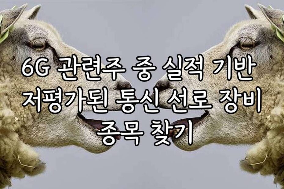 6G 관련주 중 실적 기반 저평가된 통신 선로 장비 종목 찾기