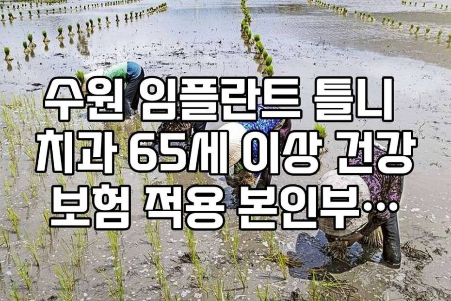 수원 임플란트 틀니 치과 65세 이상 건강보험 적용 본인부담금 실전 계산
