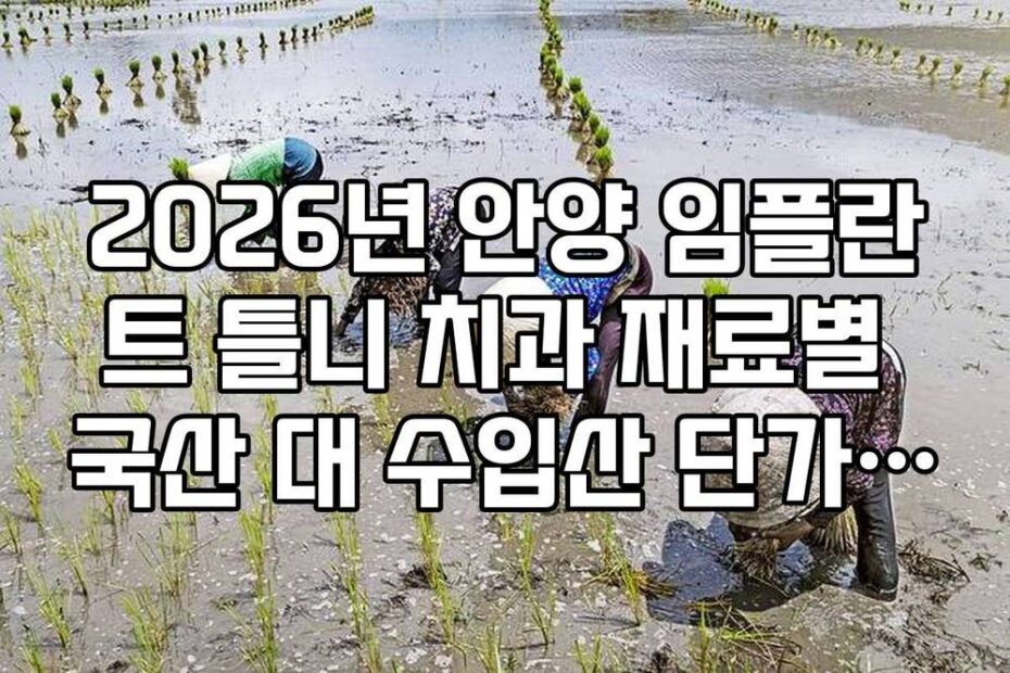2026년 안양 임플란트 틀니 치과 재료별 국산 대 수입산 단가 차이 분석