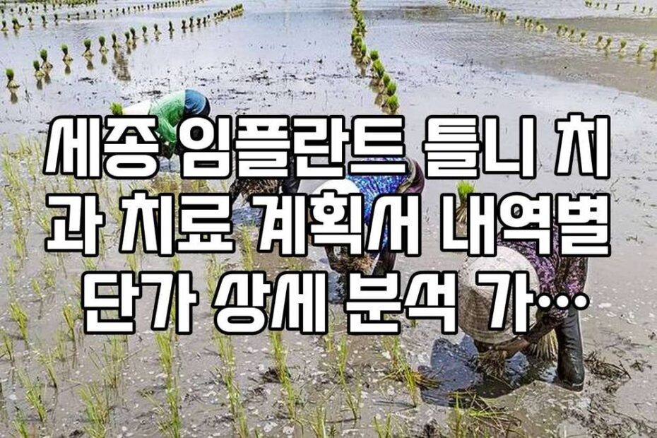 세종 임플란트 틀니 치과 치료 계획서 내역별 단가 상세 분석 가이드