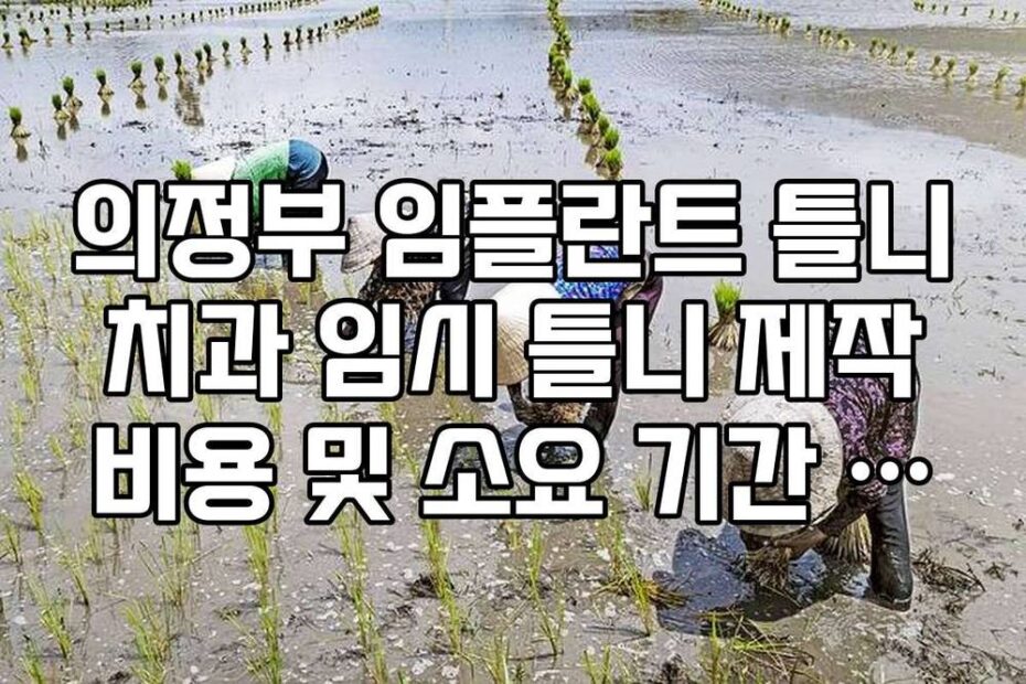 의정부 임플란트 틀니 치과 임시 틀니 제작 비용 및 소요 기간 정리
