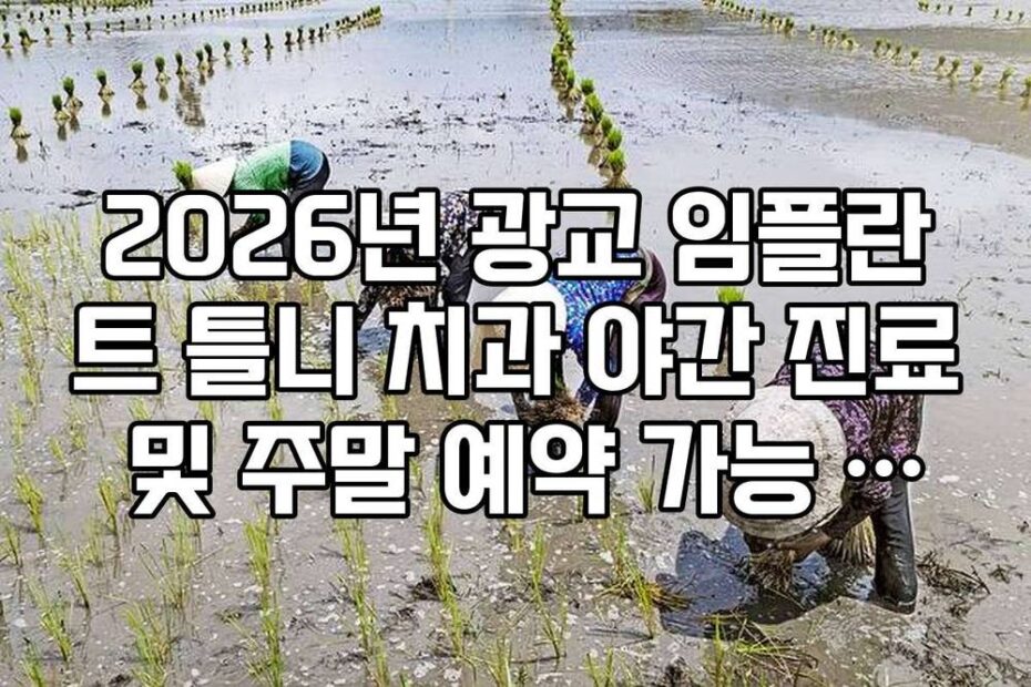 2026년 광교 임플란트 틀니 치과 야간 진료 및 주말 예약 가능 지점 정리