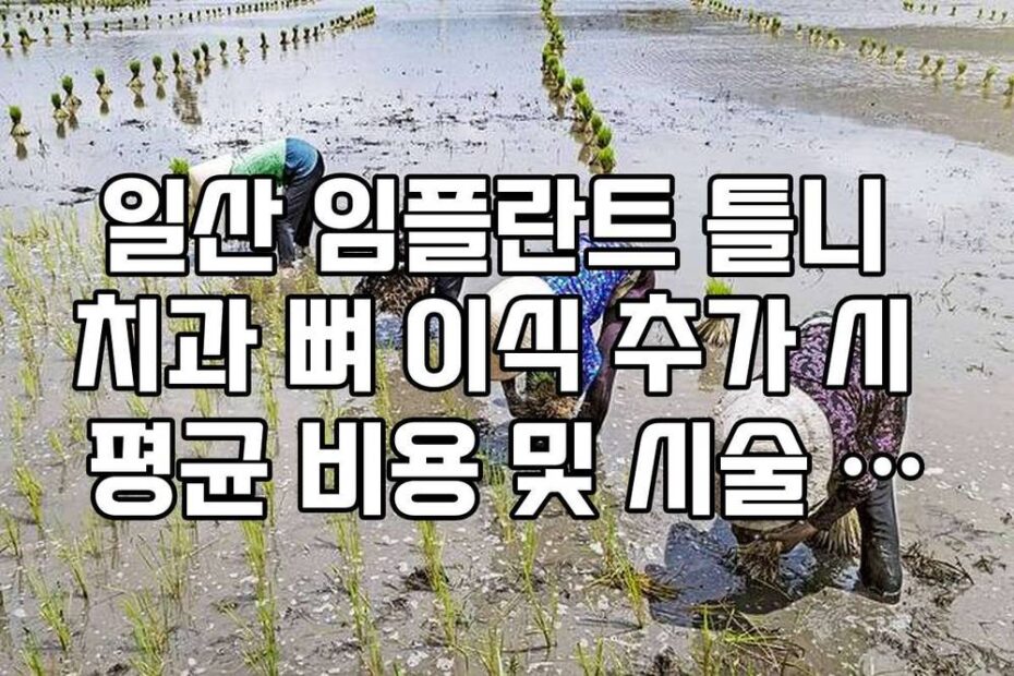 일산 임플란트 틀니 치과 뼈 이식 추가 시 평균 비용 및 시술 기간 정리