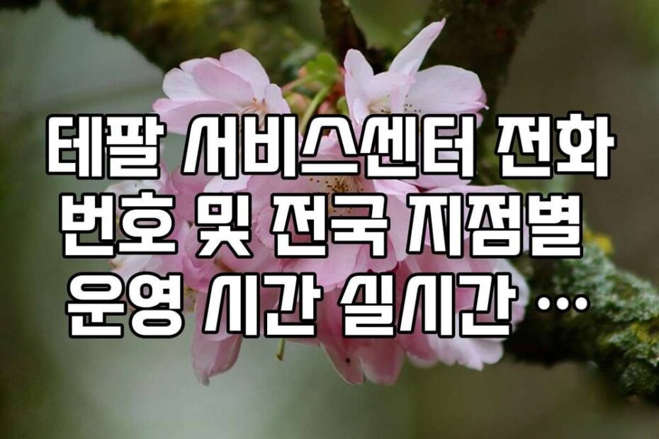 테팔 서비스센터 전화번호 및 전국 지점별 운영 시간 실시간 확인 가이드