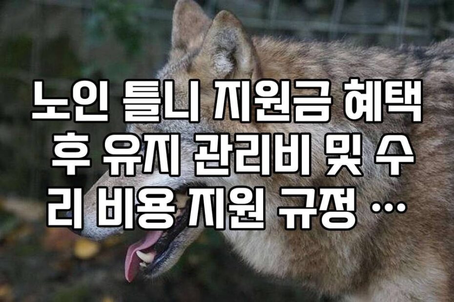 노인 틀니 지원금 혜택 후 유지 관리비 및 수리 비용 지원 규정 정리