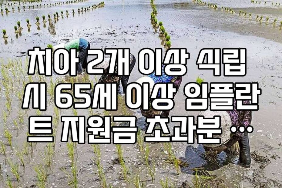 치아 2개 이상 식립 시 65세 이상 임플란트 지원금 초과분 자부담 안내